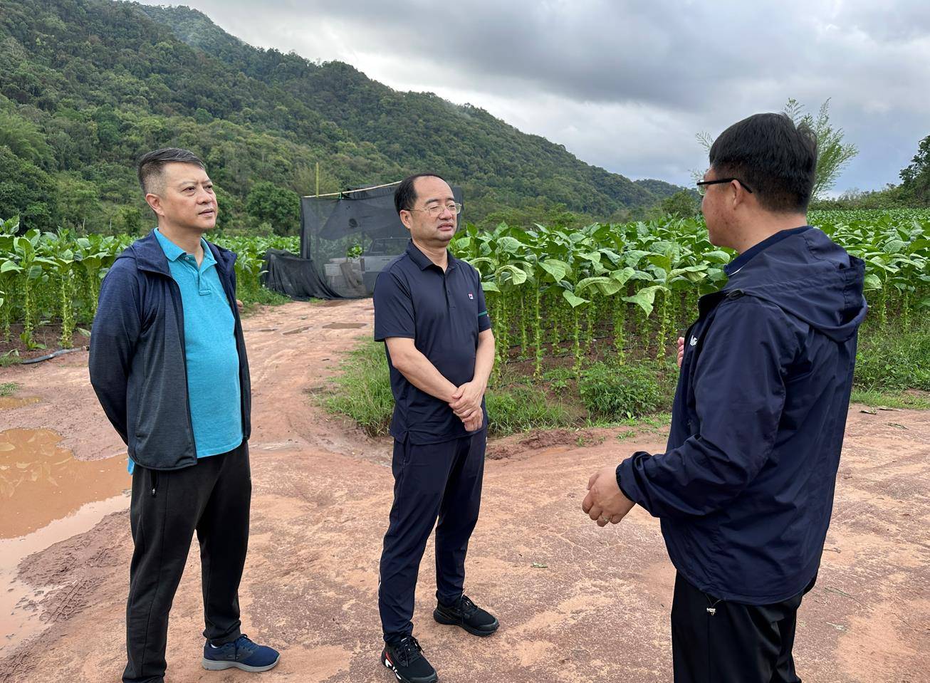 王鸿彬在江城县调研时强调要用典型引路法推动产业高质量发展