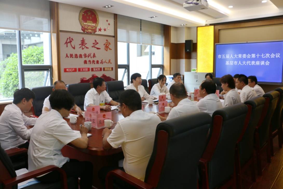 李鸿主持召开召开基层市人大代表座谈会
